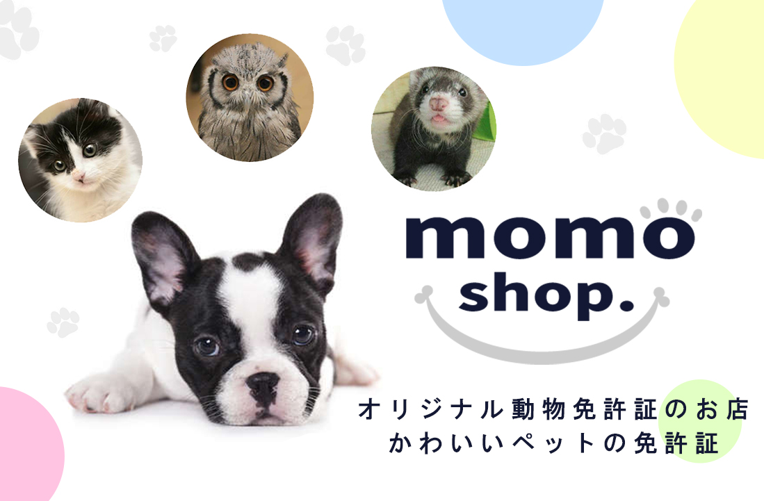 オリジナル動物免許証のお店、かわいいペットの免許証momoshop.